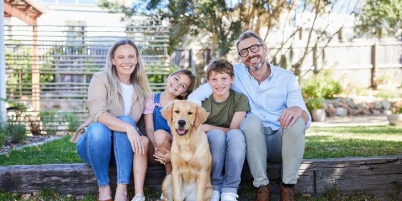 Pet Care